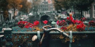 Dutch gezellig