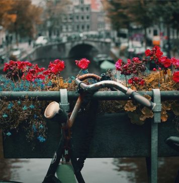 Dutch Gezellig and Gemak Dutch gezellig