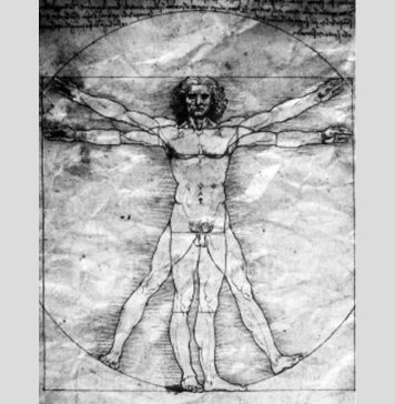 Vitruvian proportions