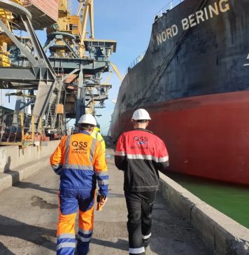 Ensuring Reliable Cargo Inspections with Professional Surveyors*